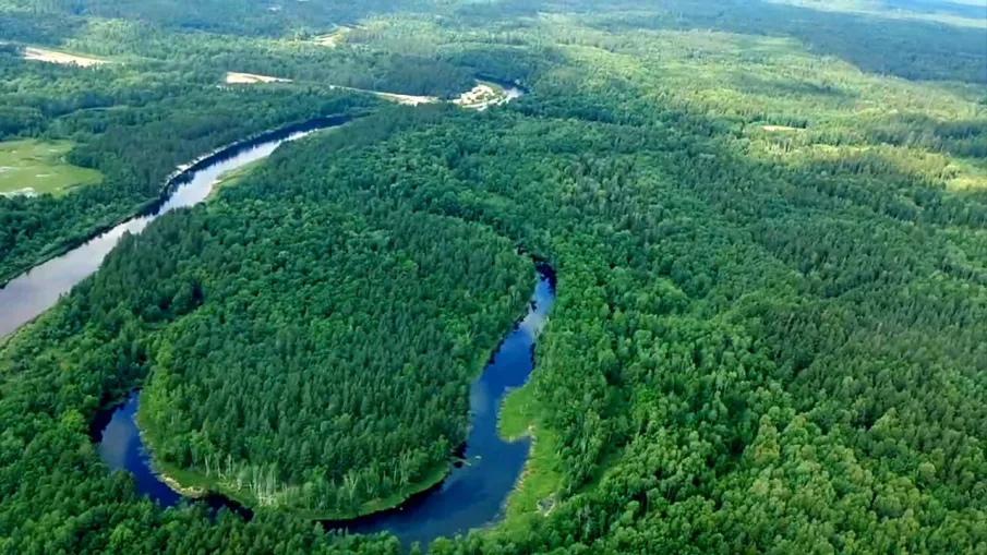 Искусственный интеллект поможет оперативно выявлять пожары и незаконные рубки в лесах Нижегородской области